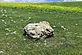 A fragment from the megalith of Barda Balka, in situ