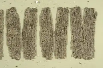 Fragmentary Kharosthi Buddhist text on birchbark (Part of a group of early manuscripts from Gandhara), first half of 1st century CE.  Collection of the British Library in London