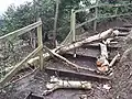 Storm Eunice fells dead birch across fence, February 2022
