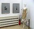 Front pages of "Vogue" magazine and one of the dresses that Milena created