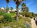 Landscaped gardens at the rear of the beach