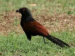 in Hyderabad, India