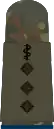Stabsarzt(hum. medicine)