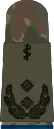 Oberfeldarzt(hum. medicine)