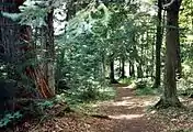 Hidden Lakes Trail in the forest, about 10 miles (16&nbsp;km) east of Eagle River