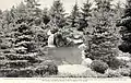 Rock garden pond of David Hill at D.&nbsp;Hill Nursery, Dundee, IL, c.1920