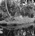 Hidden house (1967)
