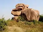 Elephant Ears situated in Ghar-e-Mubarak at Hyderabad