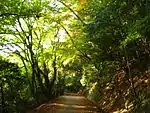 Kasugayama Primeval Forest