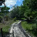 Kilpatrick Hammock Trail