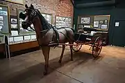 Searight buggy