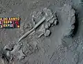 Burial 5. Excavation at phase 12.