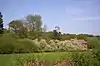 Launde Big Wood
