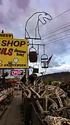 A rock shop, 2019
