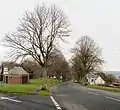 Allt-yr-yn Avenue