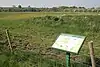 Loughborough Big Meadow
