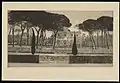 Louise Danse, Piazza Siena, Villa Borghèse, Rome, Royal Library of Belgium