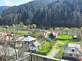 Lunca Bradului
