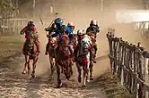 Pacuan Kuda