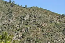 Habitat in La Campana National Park