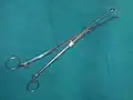 Willet's scalp traction forceps