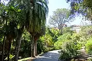 A photo of the garden