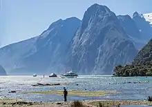 Image 22Fiordland is dominated by steep, glacier-carved valleys. (from Geography of New Zealand)