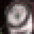 An image with two markers (green), and a Minimum Spanning Forest computed on the gradient of the image.