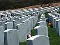 Headstones in Area&nbsp;8