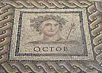 Monnus Mosaic (detail)