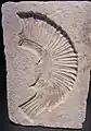 Mould for helmet crests