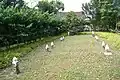 Muslim gravestones in Bidadari Garden