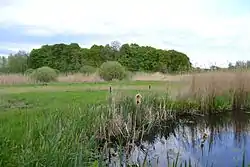 Nature reserve Dannauer See und Umgebung&nbsp;[de] in Dannau