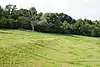 Norbury Park
