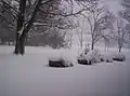 Mansfield, Ohio paralyzed by snow and blowing snow saw a storm total of 19.7&nbsp;in (50.0&nbsp;cm) on March 7–8, 2008.