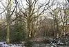 Nower Wood