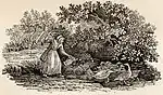 Old woman with ducks