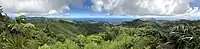 Panoramic view from Diana's Peak