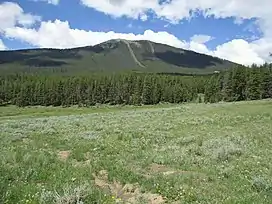 Photo of Park Cone