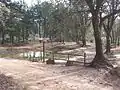 Picnic area at Bassa del Surar in El Surar
