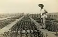 Early 1930s first citrus nursery