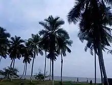 Image 10Kribi Beach (from Tourism in Cameroon)
