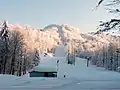 Platak