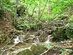 River Cetina, Middle Povlen