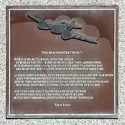 Plaque on left side