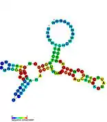 TPP riboswitch: Secondary structure for the riboswitch marked up by sequence conservation. Family RF00059.