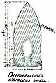 Studless Palliser shell with rotating gas-check