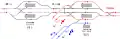 Track diagram