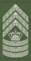 2014-2016, the standard insignia for all Sergeants Major in the Danish army