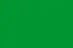 Green flags were sometimes used by Shi'ites.